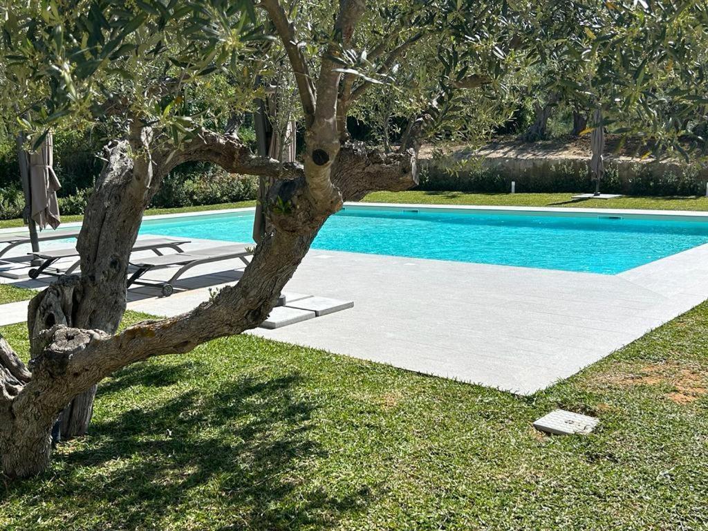 Bed and Breakfast Civetta Blu Кастелламмаре-дель-Голфо Экстерьер фото